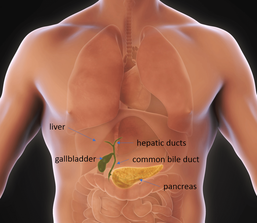 Gallbladder Surgery